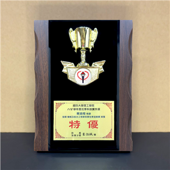 YS-339-12  運動黑晶獎牌/冠軍